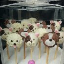 PUPPY POP 이미지