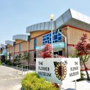 장천꽃박물관 이미지