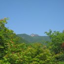 가리산막국수 이미지
