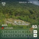 파주 골프장 타이거cc 주말 1부 라운딩 후기 조식 그늘집 치킨 대존맛