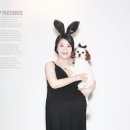 덕수네애견 이미지