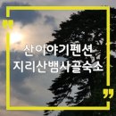 지리산뱀사골 맑은물 펜션 | 지리산 뱀사골계곡 숙소 산이야기펜션, 천년송 뷰