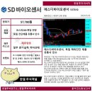 매일에스디 이미지