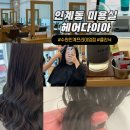 샐리헤어 | 수원 인계동 미용실 헤어다이아 인계프리미엄점 샐리 실장 아윤채 크리닉
