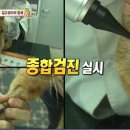 박성준 동물병원 이미지