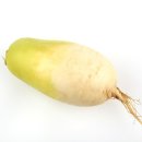 무 이미지