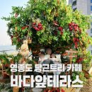 달림농장 | 영종도 바다앞테라스🥕 당근트리 하나로 끝! 아이랑 나들이 후기