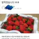붕붕카과일