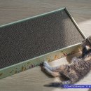 사빅 아세오, 사빅 네스토어 고양이 화장실 사용 후기. 저렴하고 쓸만한 고양이 화장실