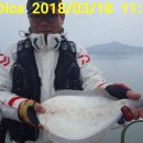 해성피싱 이미지