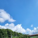 (주)비앤케이 | 아기바디필로우 쿨링 릴린져 밤부 바디필로우