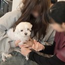 내친구동물병원 이미지