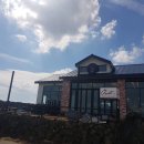 우도흑돼지 이미지