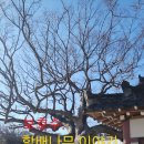 당사경로당 이미지