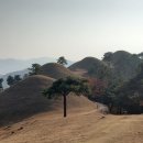 함창 오봉산 고분군 이미지