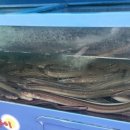 신안바다장어 이미지