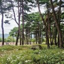 가산수피아 이미지