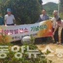 구산 태양광발전소 이미지