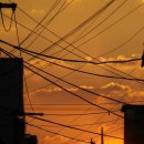 청량종합도매시장 이미지