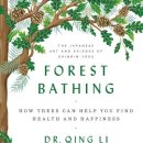 forest 이미지