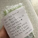 바이탈 베이프 일회용 전자담배 솔직후기