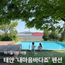 746 | 태안 가족펜션 추천 내마음바다죠 바다3호 독채 대가족 14명 후기