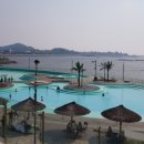 배곧한울공원 이미지