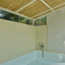 일랑일랑 스테이 이미지