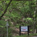 가을코스 | 전북 내장산 가을등산코스 추천 연자봉 케이블카 없이 다녀온 후기!