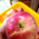 거창-고제-2 이미지