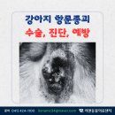 리엔동물의료센터 이미지