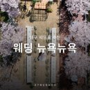 뉴욕웨딩 | 대구 야외 웨딩홀, 웨딩뉴욕뉴욕 실내홀 야외홀 주차 둘러본 후기