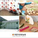 위양지 관광농원 네이버블로그