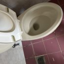 신내두산,화성 이미지