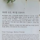 몽마르뜨 이미지
