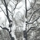 우장산공원 이미지