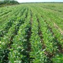 승리농장 이미지