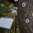 송산중학교 이미지