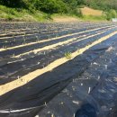 솔골농장 이미지