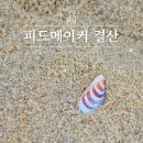 이목농장 | 피드메이커결산, 여행분야 2기 활동으로 얻은 변화