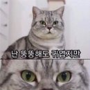 고마워 나의 응애 이미지