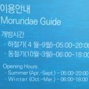 다대포해수욕장 다대횟집 앞 교통섬 내 | [부산 사하구] 다대포 해수욕장/ 몰운대/꿈의 낙조분수/버들집해물칼국수