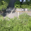 4월 일상 : 난자채취 후기, 세번째 결혼기념일, 기장바다마라톤