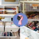 창의미술(6~7세) 이미지