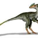 관룡(Guanlong) – 깃털공룡 시대의 선구자