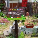 정동초병설유치원 이미지