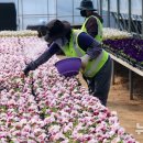 백양산 양묘장 이미지