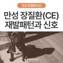 비타민동물메디컬센터 | 만성 장질환(IBD·CE), 재발 패턴과 정밀 진단이 필요한 신호 - 울산 에스동물메디컬센터 소화기 내과