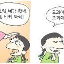 신명공사 Daum카페