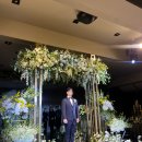 [W:D-DAY] 셀럽앤어셈 본식 후기 : 디유드라포엠, 애브뉴준오 본식 후기